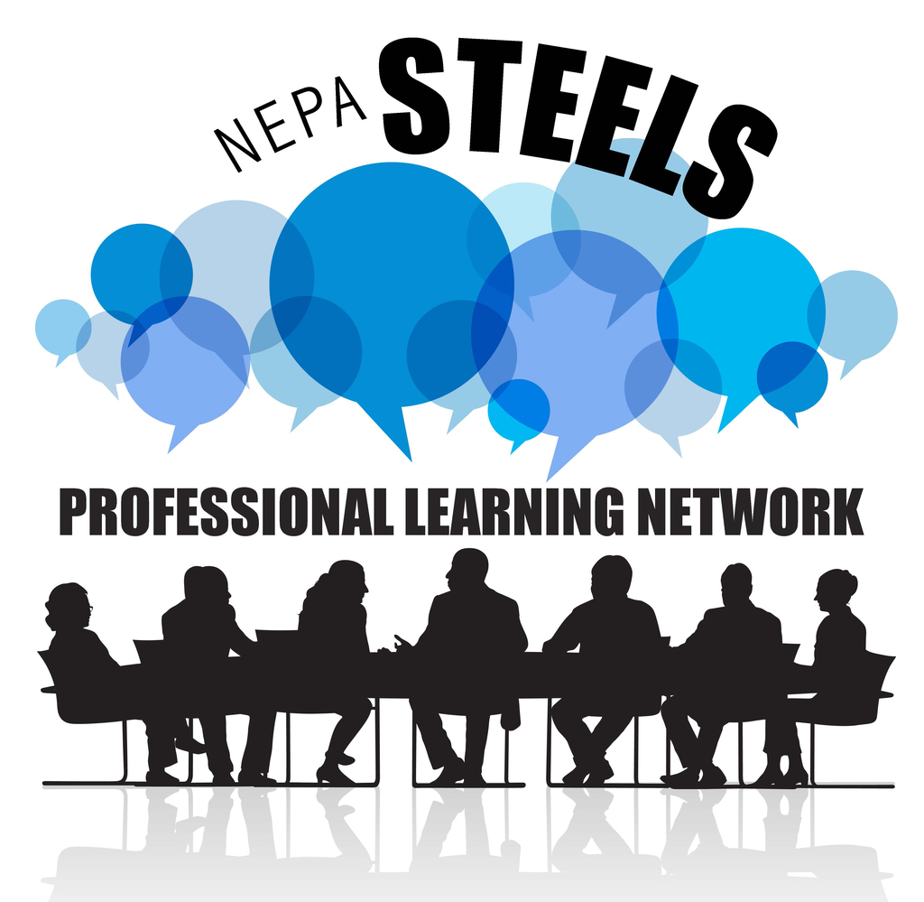 NEPA STEELS PLN